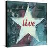 American Dreams IV-Ken Hurd-Stretched Canvas