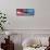 American Eagle Flag-Spencer Williams-Framed Stretched Canvas displayed on a wall