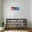 American Eagle Flag-Spencer Williams-Framed Stretched Canvas displayed on a wall