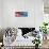 American Eagle Flag-Spencer Williams-Framed Stretched Canvas displayed on a wall