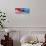 American Eagle Flag-Spencer Williams-Giclee Print displayed on a wall