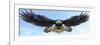 American Eagle Sky-FlyLand Designs-Framed Giclee Print