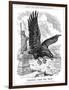 American Eagle Swooping to Guard the Atlantic, 1917-null-Framed Giclee Print