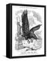 American Eagle Swooping to Guard the Atlantic, 1917-null-Framed Stretched Canvas