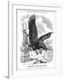 American Eagle Swooping to Guard the Atlantic, 1917-null-Framed Giclee Print