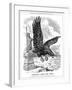 American Eagle Swooping to Guard the Atlantic, 1917-null-Framed Giclee Print