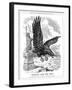 American Eagle Swooping to Guard the Atlantic, 1917-null-Framed Giclee Print