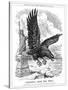 American Eagle Swooping to Guard the Atlantic, 1917-null-Stretched Canvas