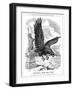 American Eagle Swooping to Guard the Atlantic, 1917-null-Framed Giclee Print