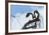 American Eagle-Gary Carter-Framed Photographic Print