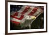 American Eagle-Jai Johnson-Framed Giclee Print