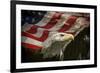 American Eagle-Jai Johnson-Framed Giclee Print