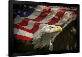 American Eagle-Jai Johnson-Framed Giclee Print