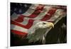 American Eagle-Jai Johnson-Framed Giclee Print