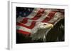 American Eagle-Jai Johnson-Framed Giclee Print