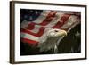 American Eagle-Jai Johnson-Framed Giclee Print