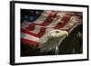 American Eagle-Jai Johnson-Framed Giclee Print