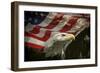 American Eagle-Jai Johnson-Framed Premium Giclee Print