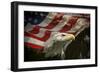 American Eagle-Jai Johnson-Framed Premium Giclee Print