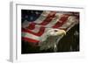 American Eagle-Jai Johnson-Framed Giclee Print