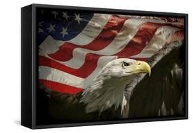 American Eagle-Jai Johnson-Framed Stretched Canvas