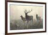 American Elk-R. Hinshelwood-Framed Premium Giclee Print