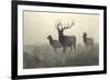 American Elk-R. Hinshelwood-Framed Premium Giclee Print