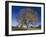 American Elm, Texas County, Missouri, USA-Charles Gurche-Framed Premium Photographic Print