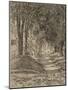 American Elms, Belfast, Maine, 1931 (Etching)-Childe Frederick Hassam-Mounted Giclee Print