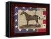 American Equestrian-Sam Appleman-Framed Stretched Canvas