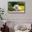 American Eskimo Lying in Garden Plants-Zandria Muench Beraldo-Framed Stretched Canvas displayed on a wall