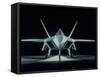 American F-22 Jet Fighter-null-Framed Stretched Canvas