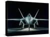 American F-22 Jet Fighter-null-Stretched Canvas