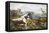 American Field Sports, a Chance For Both Barrels-Currier & Ives-Framed Stretched Canvas