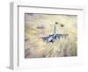 American Fighter Jets During Desert Storm-null-Framed Giclee Print