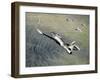 American Fighter Planes Flying over North Korea-null-Framed Giclee Print