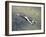 American Fighter Planes Flying over North Korea-null-Framed Giclee Print