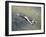 American Fighter Planes Flying over North Korea-null-Framed Giclee Print
