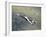 American Fighter Planes Flying over North Korea-null-Framed Giclee Print