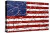 AMERICAN FLAG #1-JAMES MARTIN-Stretched Canvas