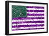 AMERICAN FLAG #3-JAMES MARTIN-Framed Premium Giclee Print