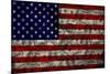 American Flag And Dollars-alexfiodorov-Mounted Art Print