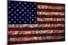 American Flag And Dollars-alexfiodorov-Mounted Art Print