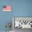 American Flag and Mottoes-null-Stretched Canvas displayed on a wall
