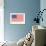 American Flag and Mottoes-null-Framed Art Print displayed on a wall
