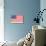 American Flag and Mottoes-null-Mounted Art Print displayed on a wall