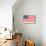 American Flag and Mottoes-null-Mounted Art Print displayed on a wall