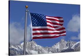 American Flag and Snow on Sierra Nevada Mountains, California, USA-David Wall-Stretched Canvas