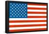 American Flag Art Print Poster-null-Framed Poster