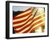 American Flag at Fisherman's Terminal, Seattle, Washington, Usa-William Sutton-Framed Photographic Print